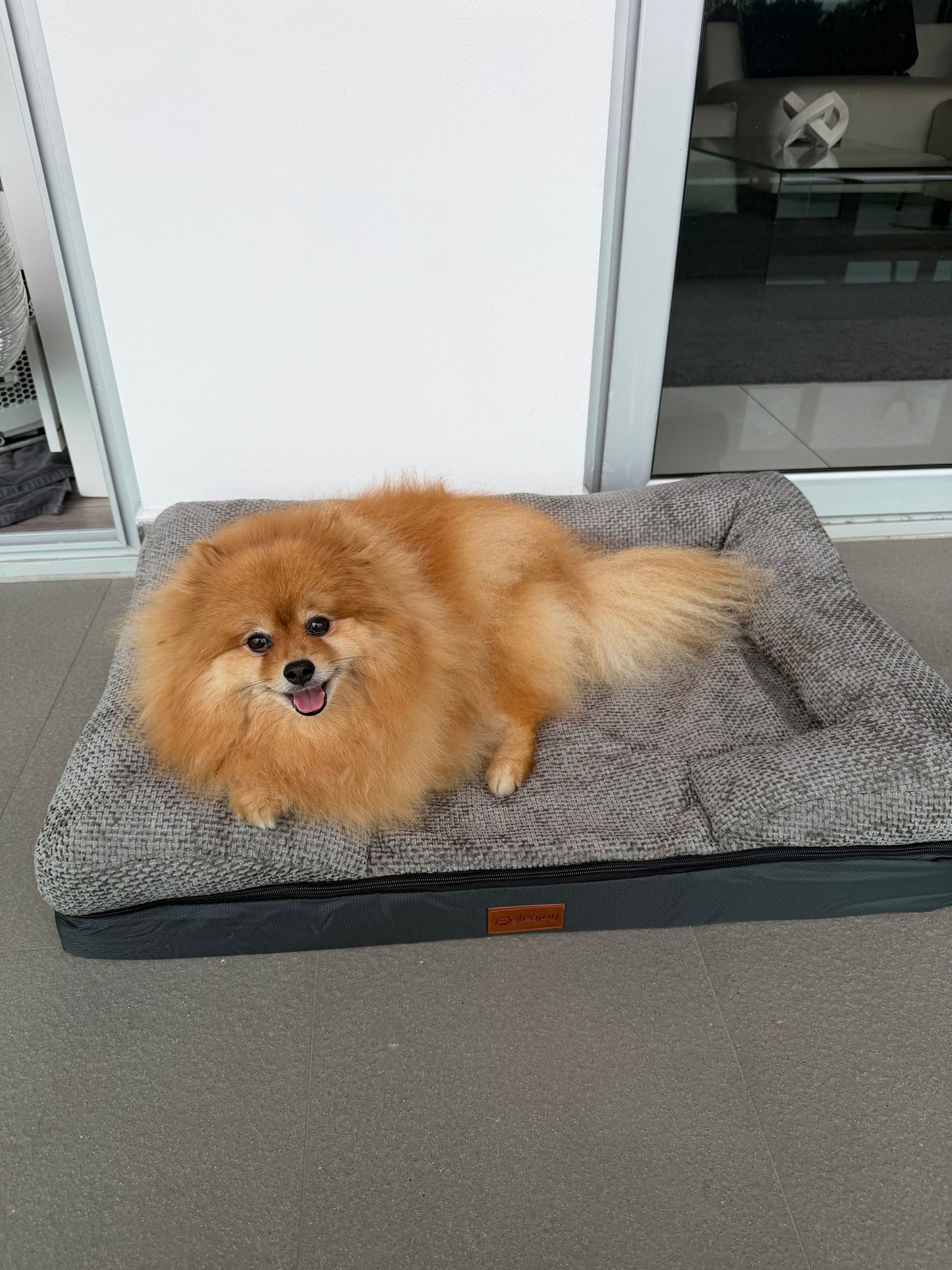 Cama Ortopédica para Mascota