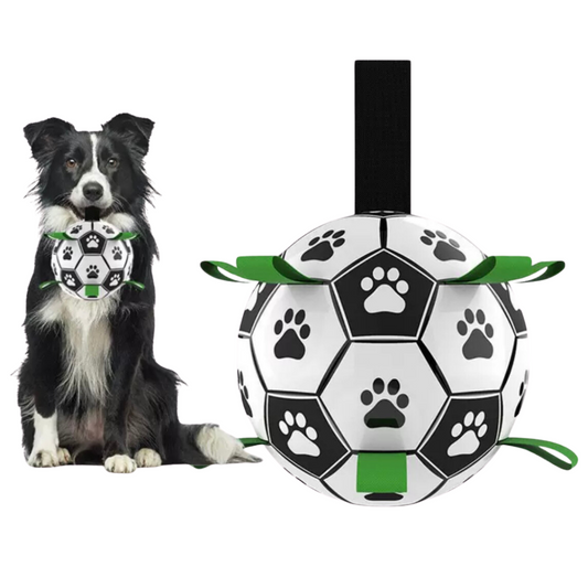 Bola para Mascota- Pet Soccer Ball