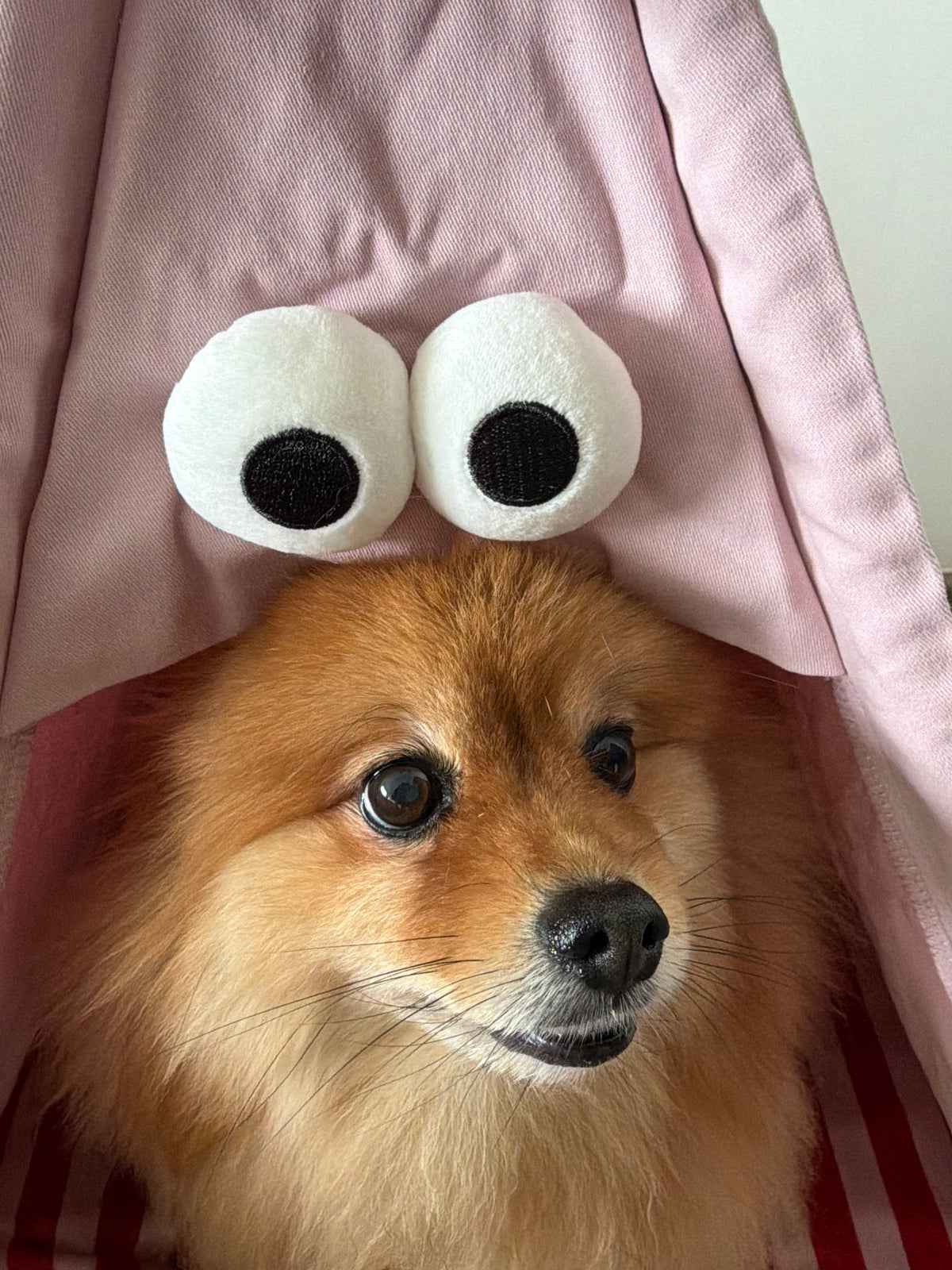 Cama Teepee Open-Style Pet Tent