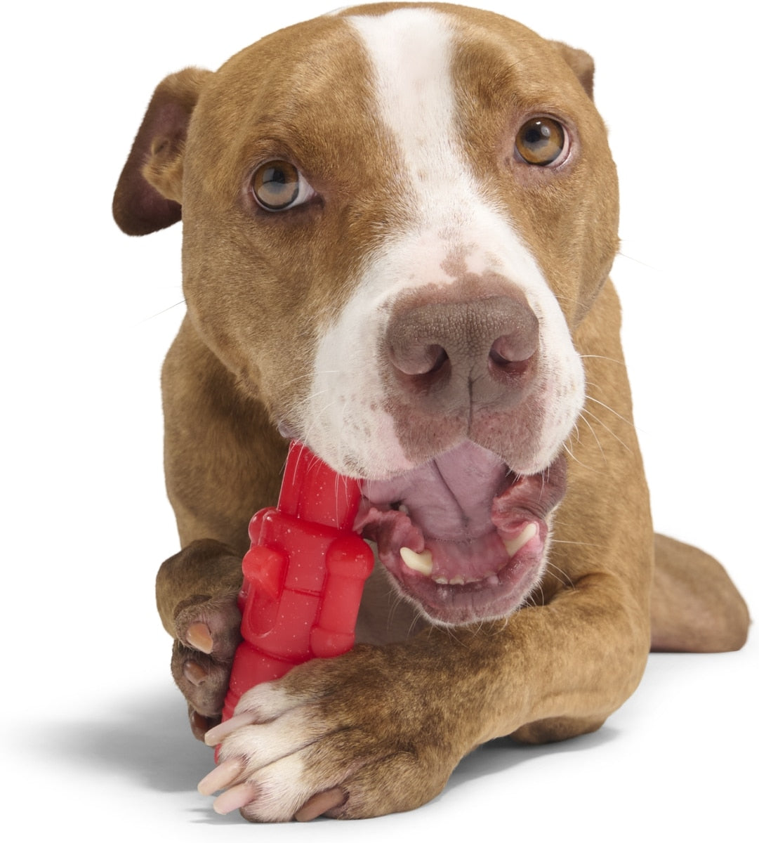 BARK Navidad – Juguete para Perro “Gnawtcracker”