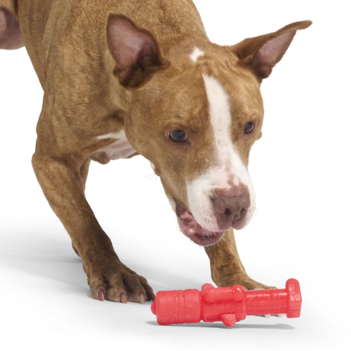 BARK Navidad – Juguete para Perro “Gnawtcracker”