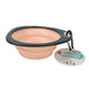 Tazón Pórtatil Plegable - Foldable Bowl