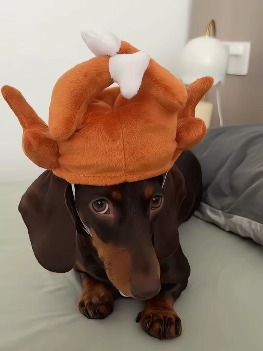 Disfraz sombrero para Mascota- Pet Costume
