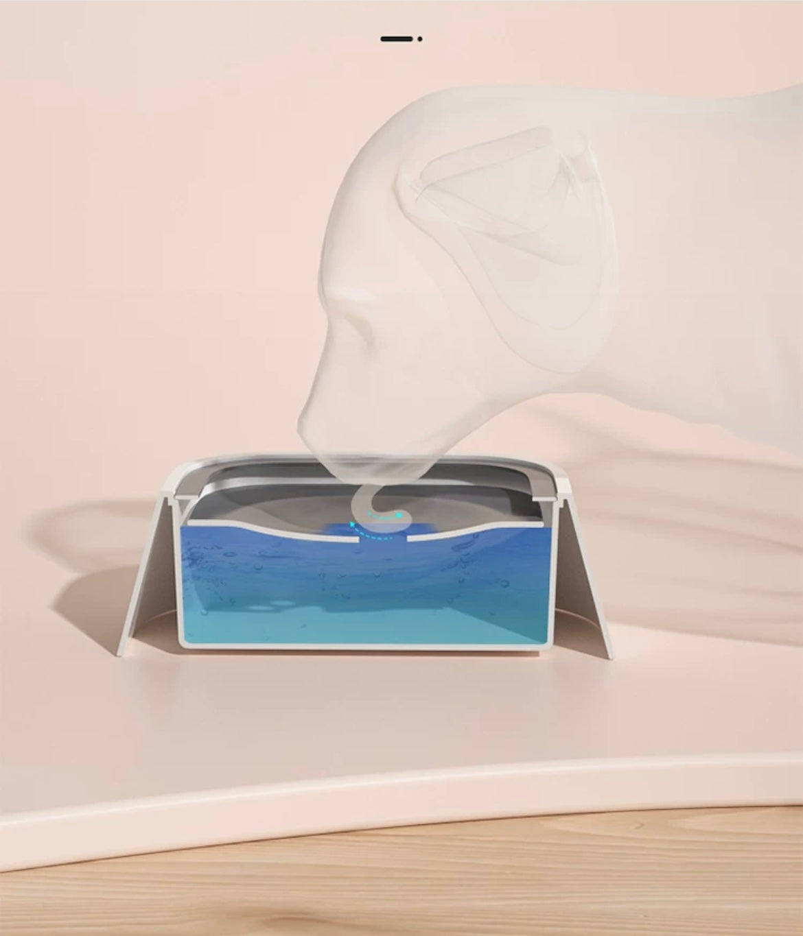 Tazón Anti Derrame - Anti Splash Bowl els pet