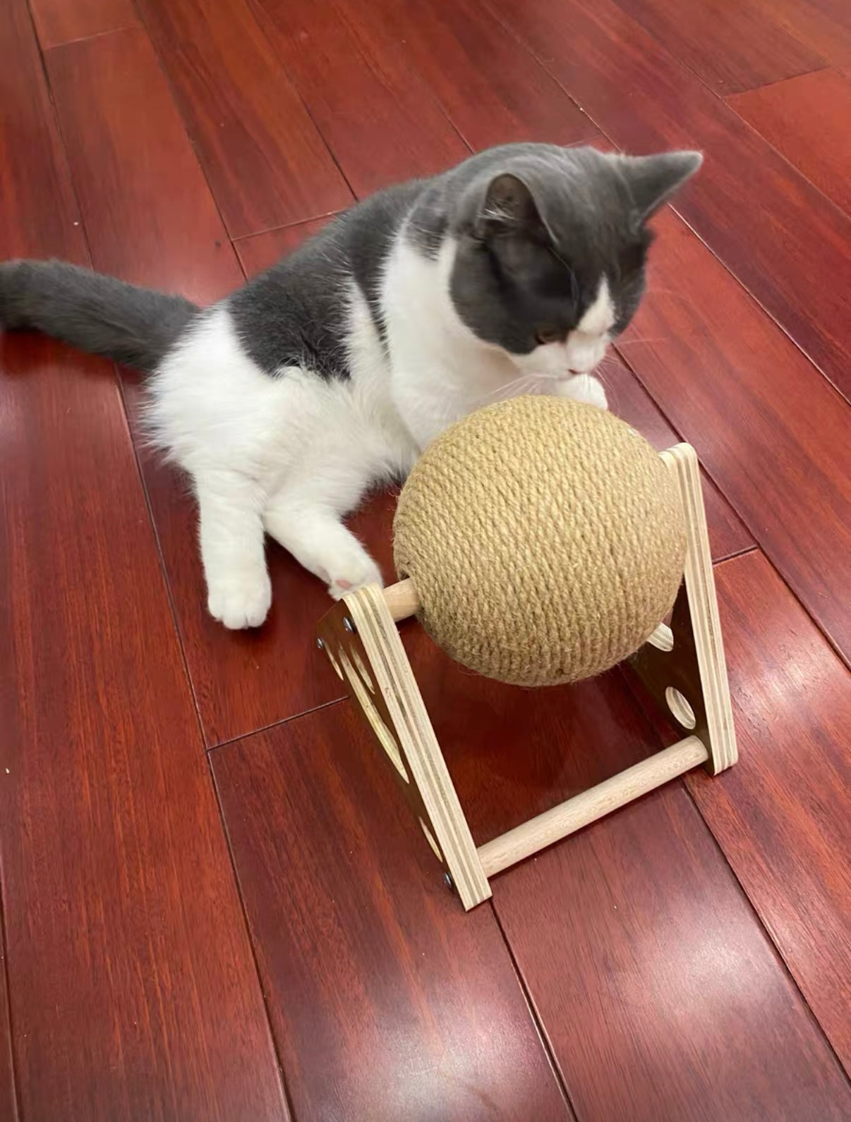 Pelota Rascadora de Sisal para Gato