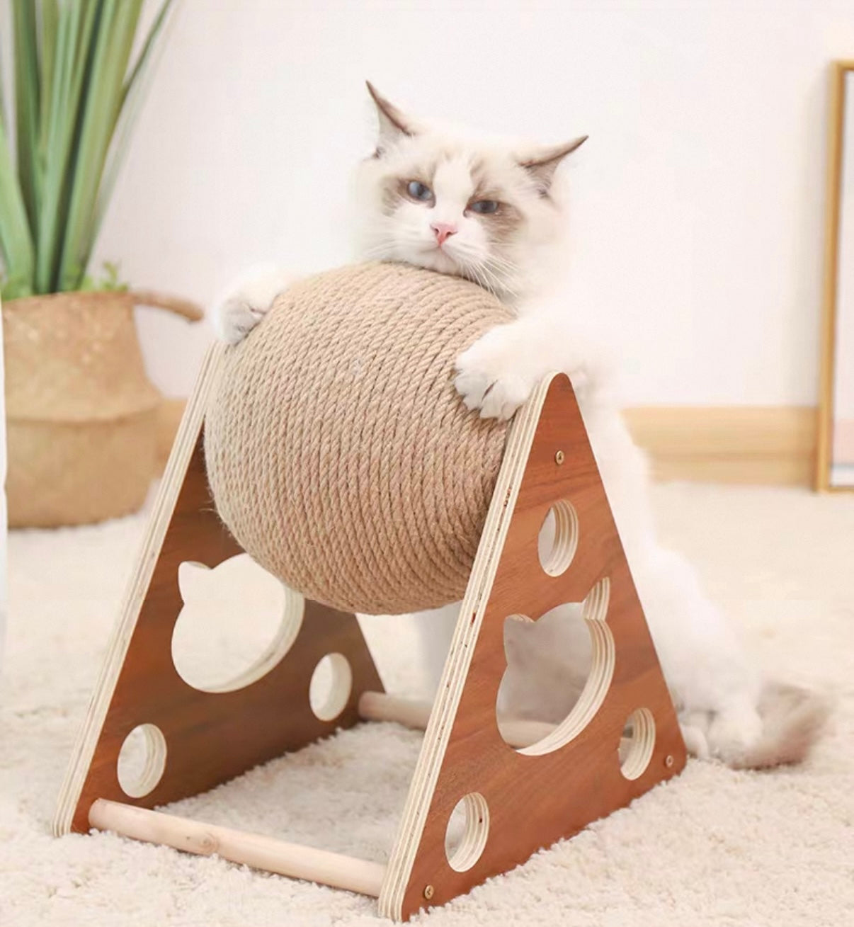 Pelota Rascadora de Sisal para Gato