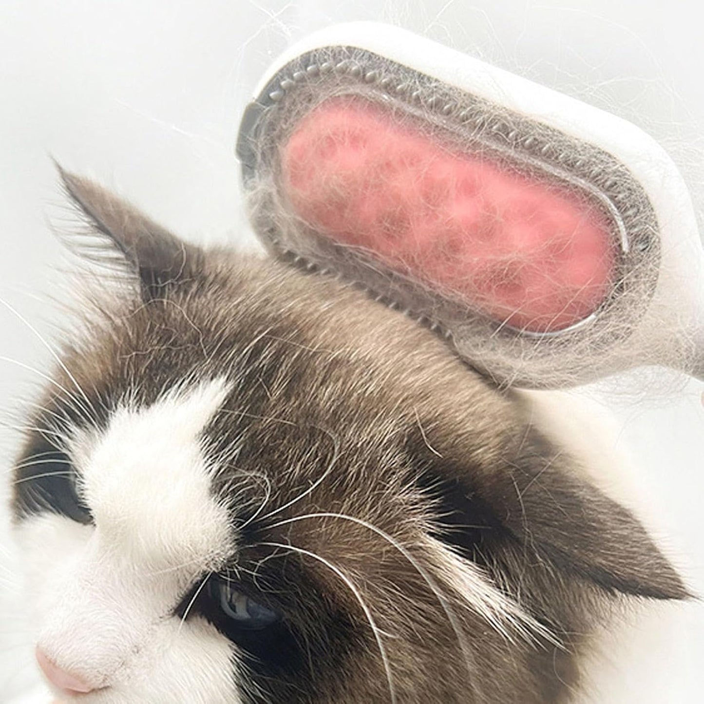 Cepillo - PetGravity Grooming Comb