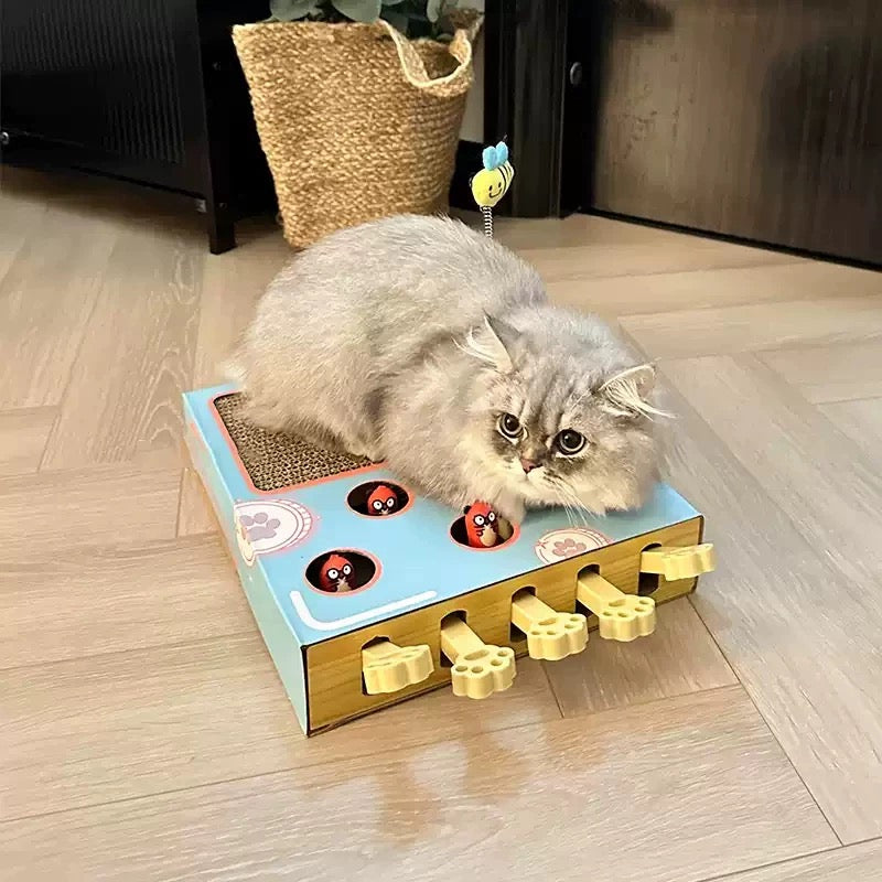 Rascador Interactivo para Gatos