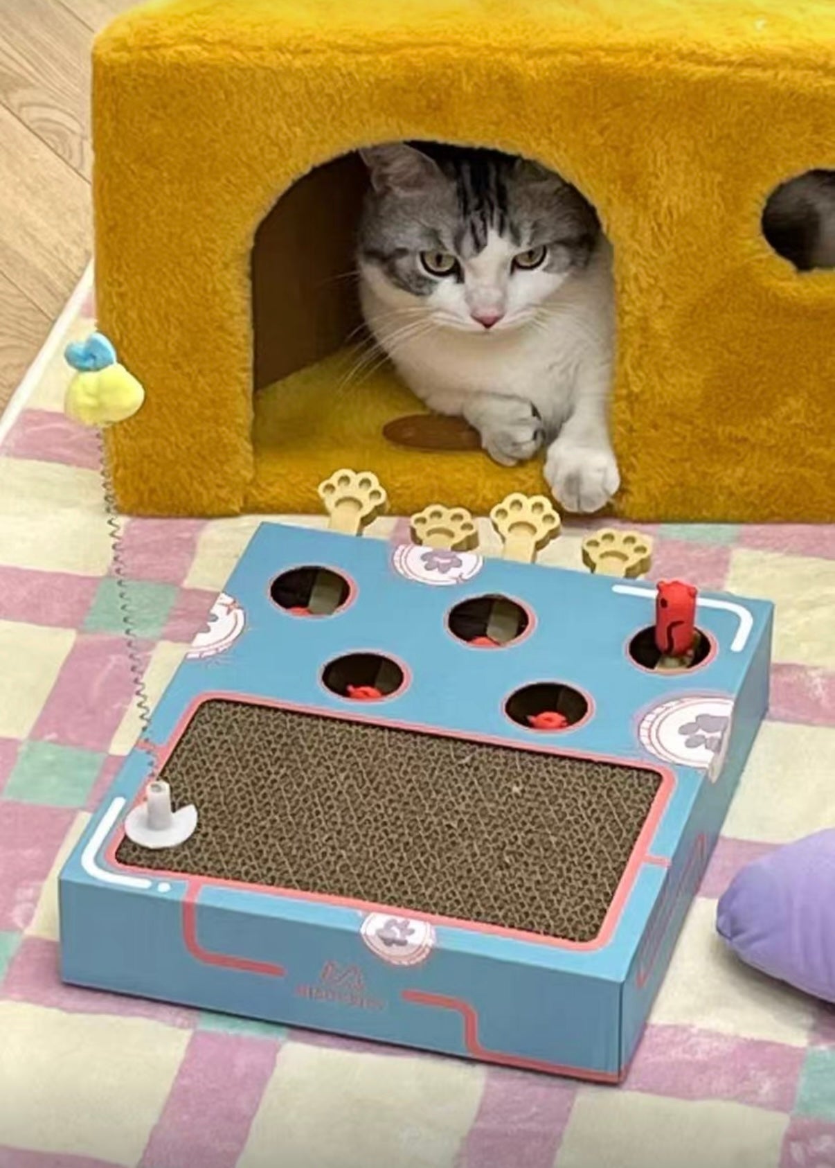 Rascador Interactivo para Gatos