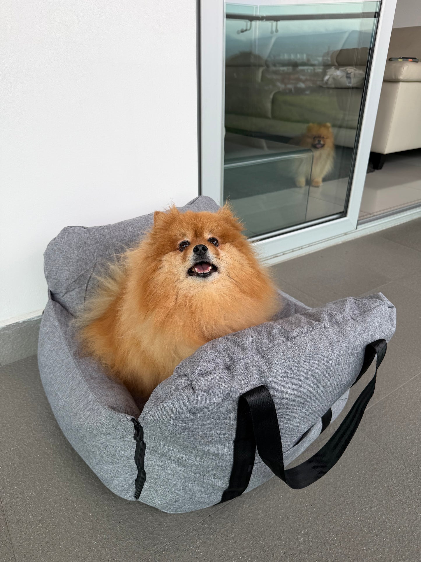 Booster Mediano Acolchado - Pet Car Seat