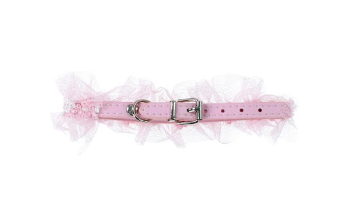 Collar para Mascota