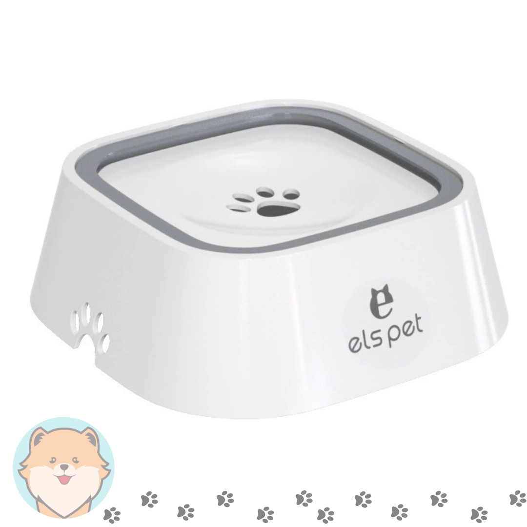 Tazón Anti Derrame - Anti Splash Bowl els pet