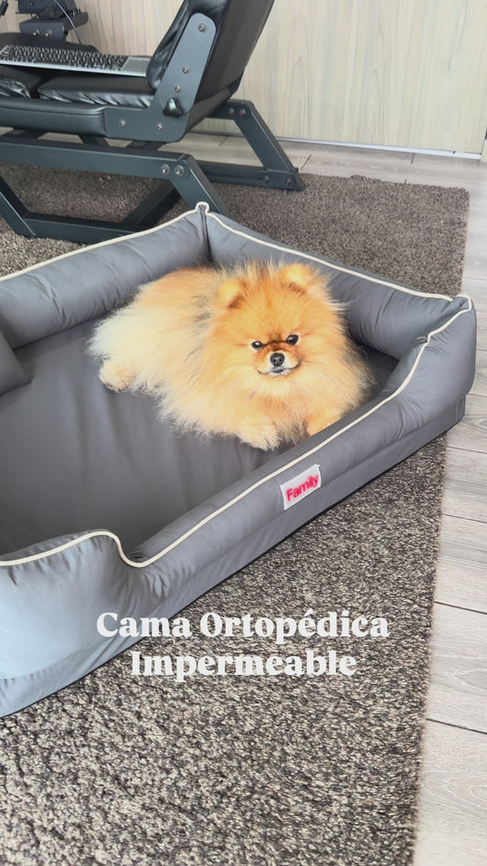 Cama Ortopedica Impermeable
