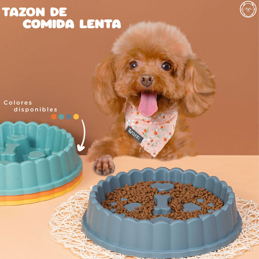 Tazón comida Lenta